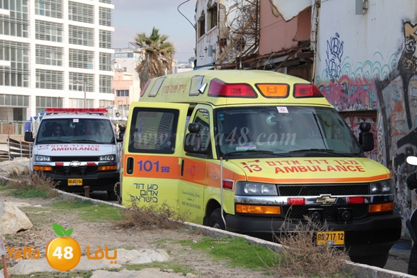 jotha northyaffa dolfan (11).JPG